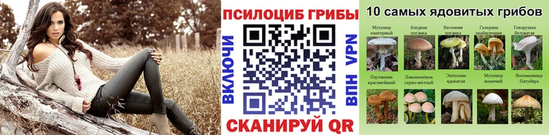 ссылка на мегу ссылки  Юрюзань  Галлюциногенные грибы Cubensis 